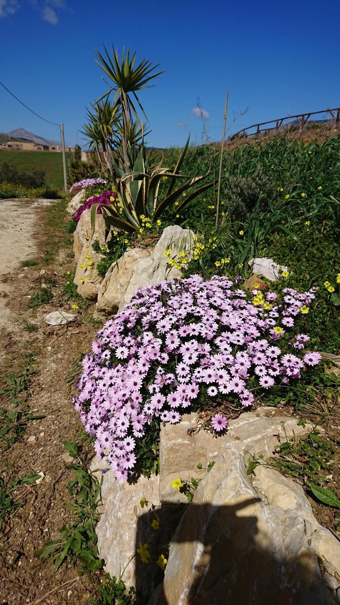Helimos Bed&Breakfast Segesta Temple-Castellammare Calatafimi Bagian luar foto