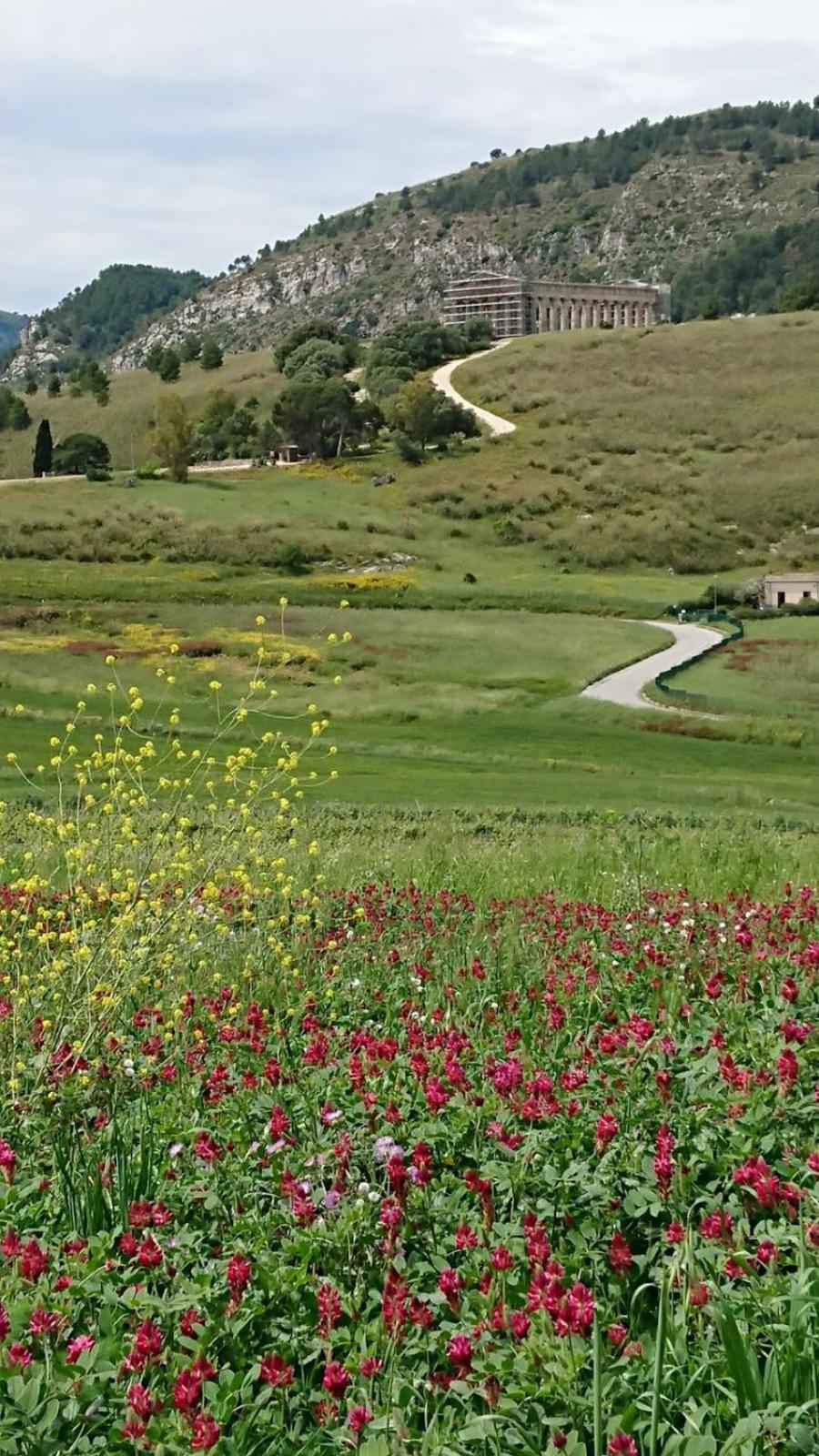 Helimos Bed&Breakfast Segesta Temple-Castellammare Calatafimi Bagian luar foto